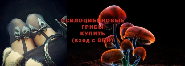 герыч Верхний Тагил