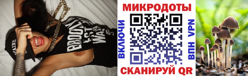 Галлюциногенные грибы Psilocybe  купить закладку  Волчанск 